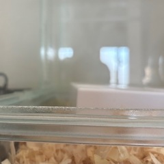 グラスハーモニー　ハムスター　　ゲージ　セットの画像