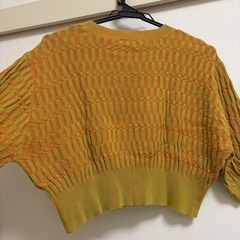 ジーナシス　トップスの画像