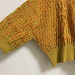 ジーナシス　トップスの画像