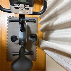 アルインコ　エアロバイクの画像