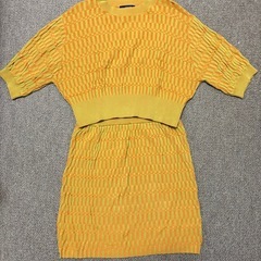 ジーナシス　スカートの画像