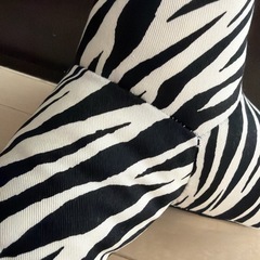 ゼブラ柄テトラ★大サイズ  の画像