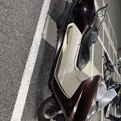 本日お引き取り限定の画像