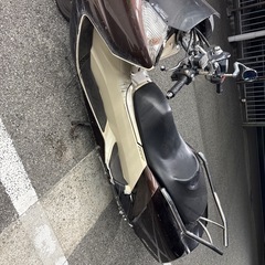 本日お引き取り限定の画像