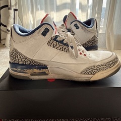 NIKE AIR JORDAN 3 CEMENT GREY TRUE BLUEの画像