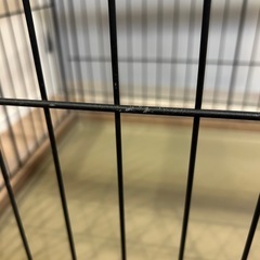 犬のケージの画像