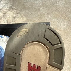 NIKE AIR JORDAN 3 CEMENT GREY TRUE BLUEの画像