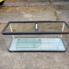 ９０センチ水槽の画像