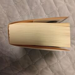 白夜行（ドラマ 白夜行の原作）＋推理小説（ドラマ アンフェアの原作）の画像