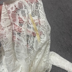 [訳あり]まとめ売り　シアートップス　シアースカート　膝丈デニム　シアーシャツ　シャツ　膝上ワンピース　Tシャツ　レーストップスの画像