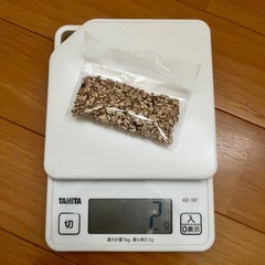 エキナセアの種子 たくさん　花の種　種 の画像