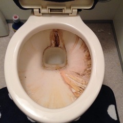 年末の大掃除！年末ゆっくり過ごしませんか？ − 大阪府