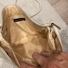 スワロスキーのあしらわれたブランドバッグの画像