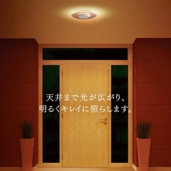 アイリスオーヤマ LED小型シーリングライト 保証書付きの画像