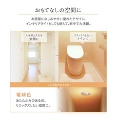 アイリスオーヤマ LED小型シーリングライト 保証書付きの画像