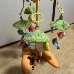 プーメリーの画像