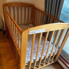  ベビーベットの画像