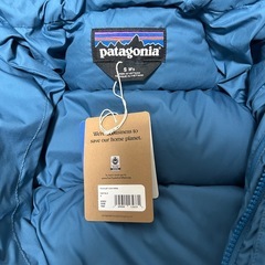 patagonia Men's Silent Down Parkaの画像