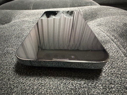 iPhone 13 Pro Max 256GB グラファイト SIMフリー Apple