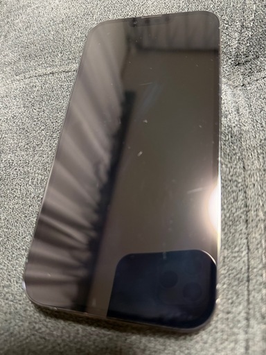 iPhone 13 Pro Max 256GB グラファイト SIMフリー Apple