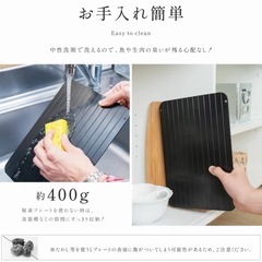 【抱き合わせ割引あり】【新品未使用】解凍プレートまな板抗菌｜肉・刺身・明太子・冷凍食品を素早く解凍＆鮮度キープの画像