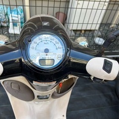 ホンダ ジョルノ AF70 実働 原付 4スト FI JBH-AF70 の画像