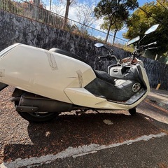 【実動車】【お問い合わせがなければ年末で削除します】配送可 マグザム　250cc 【現金・オンラインどちらも可】の画像