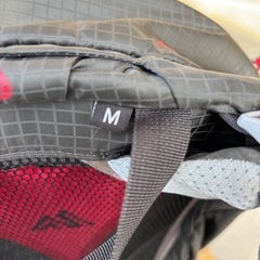 GREGORY グレゴリー　バックパックの画像