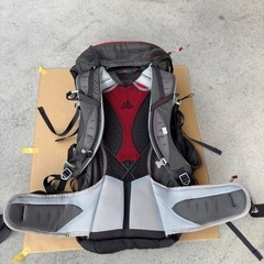 GREGORY グレゴリー　バックパックの画像