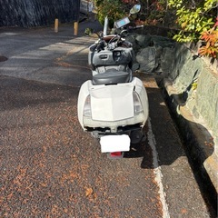 【実動車】【お問い合わせがなければ年末で削除します】配送可 マグザム　250cc 【現金・オンラインどちらも可】の画像