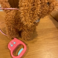 お散歩わんちゃんの画像