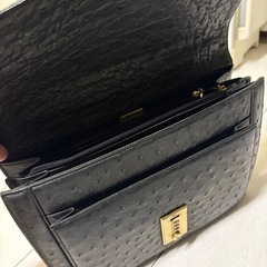 オーストリッチセカンドバッグの画像