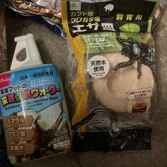 カブトムシ飼育用品の画像