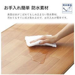 ホットカーペットの画像