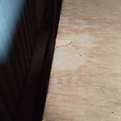 無料　洋服箪笥　開戸　12月末処分予定
の画像