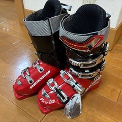 スキーセット(板、ストック、靴、ケース)の画像