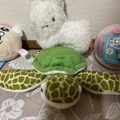 まとめての画像