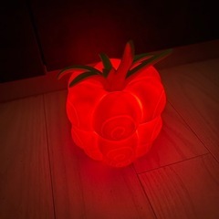 ワンピース　悪魔の実　ルームライトの画像