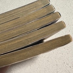 【初版】WILD ADAPTER ワイルドアダプターの画像