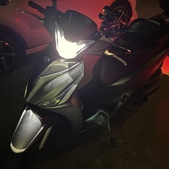 キムコ　ターセリーs125の画像