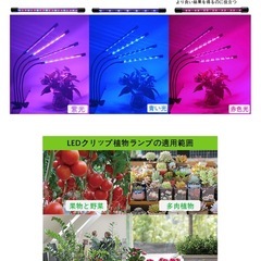新品同様　観葉植物 多肉植物 育成ライト 2セットの画像
