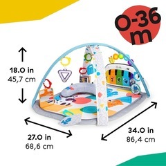 ベビージムの画像