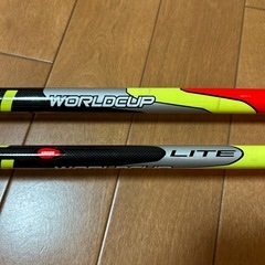 LEKI スキーポールの画像