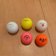 マグレガー　ターニー　ゴルフクラブセット　ヴィンテージの画像