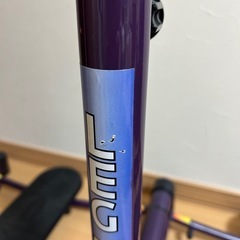 レッグマジック　エックスの画像