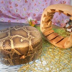 29.800円　盛嶋開鐘チーガ　沖縄三線専用蛇皮強化(二重張)型です、受注生産の画像