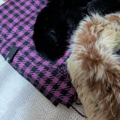 マフラー5枚♪の画像