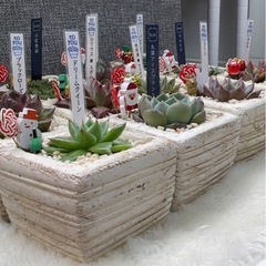 クリスマスプレゼント企画の画像