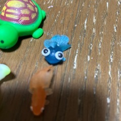 お風呂　水槽　プカプカセットの画像