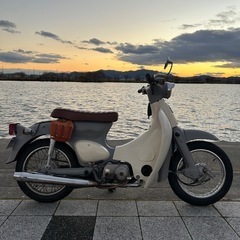 リトルカブ　スーパーカブ　ハンターカブ　チョッパー　カスタム　原付　本体　車体　ヤマハ　メイト　ベスパ　ヴェスパ　ズーマー　ズーマ　ジョルノ　エイプ　ゴリラ　モンキー　cb50 ジャズ　アメリカン　ドラッグスター　ハーレー　キャブ　250 400 ns-1 ディオ　キャブ　ハーレー　フルカスタム　オートマ　セミオートマ　mt ベンリィyb-1 旧車　単車　好きへ
の画像